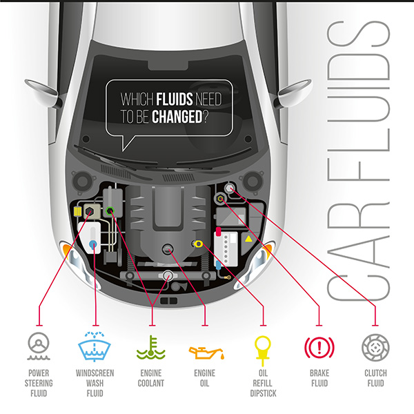 The Importance of Regular Fluid Flushes | Desi Auto Care